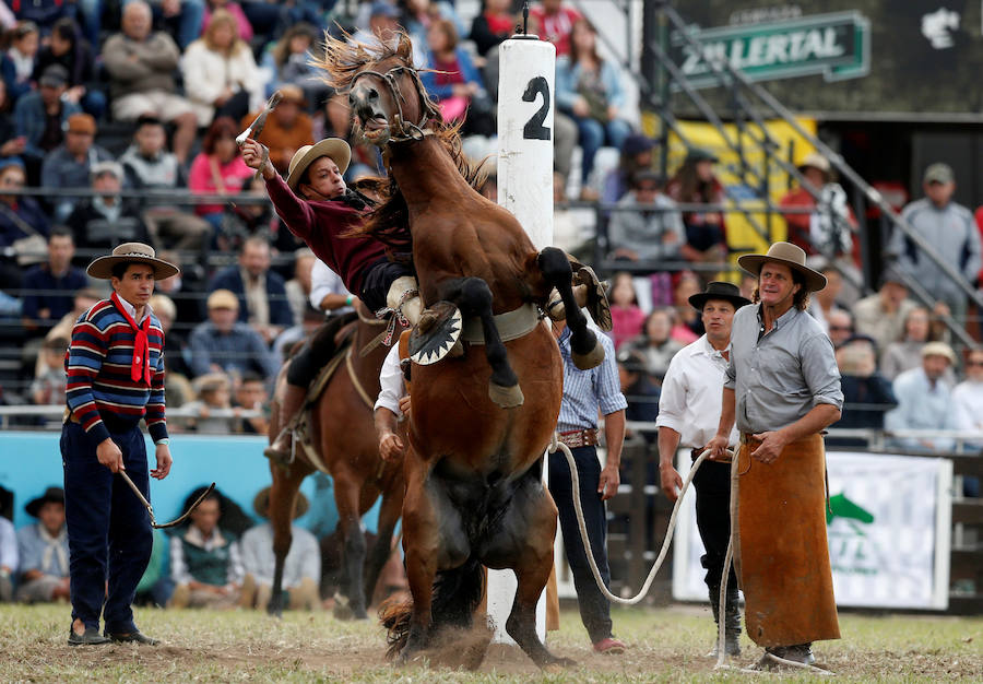 Los saltos a caballo más espectaculares de Montevideo