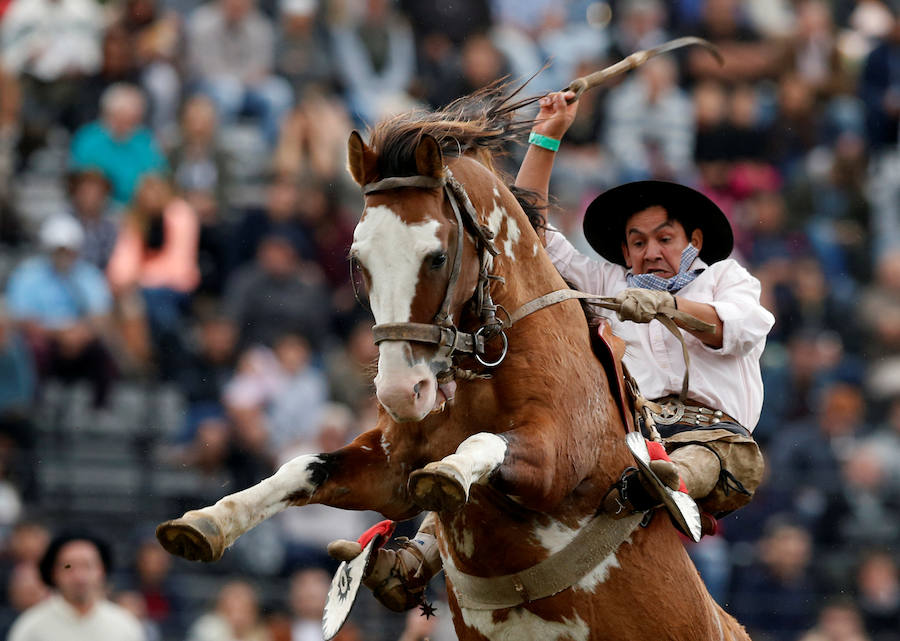 Los saltos a caballo más espectaculares de Montevideo