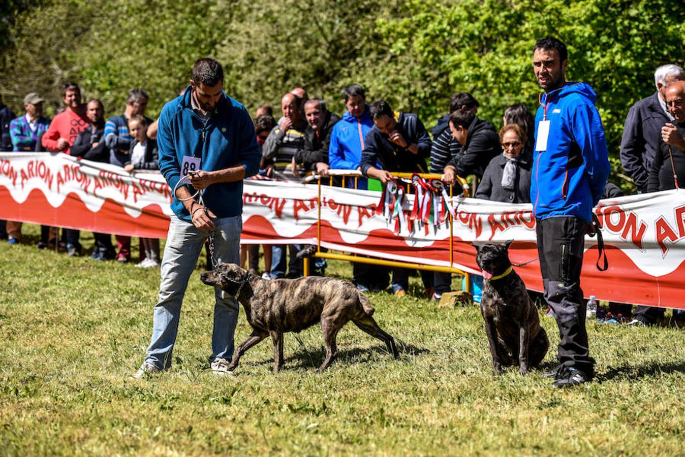 Fiesta del campo en Trucíos