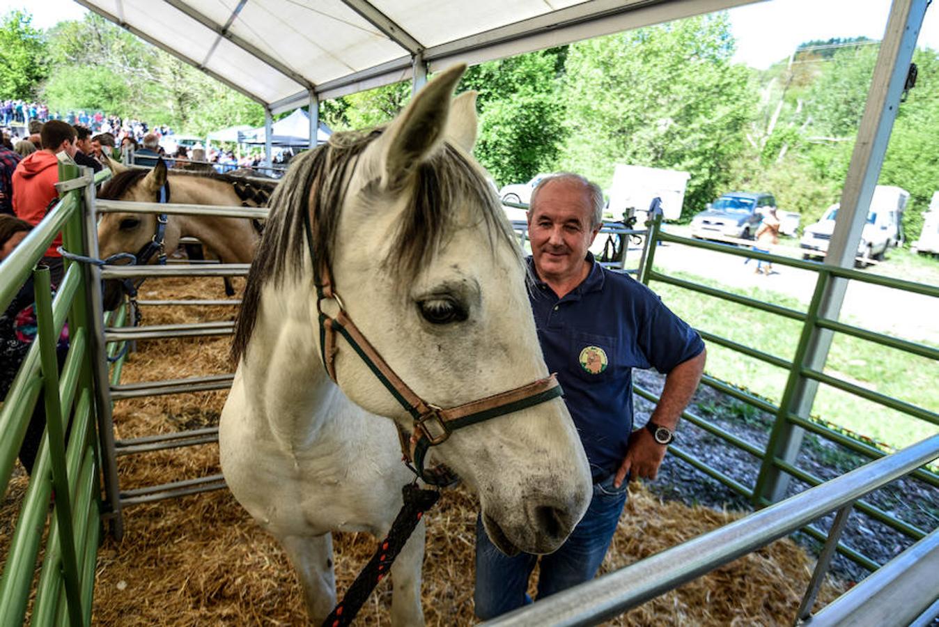 Fiesta del campo en Trucíos