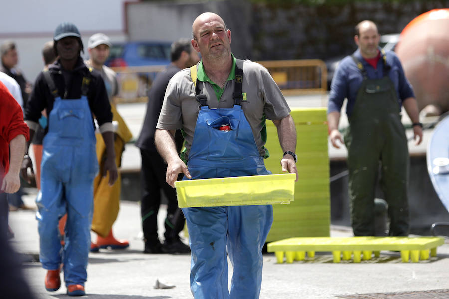 Buena captura de anchoa en Bermeo