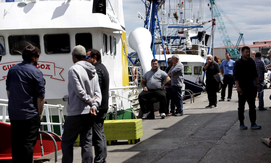 Buena captura de anchoa en Bermeo