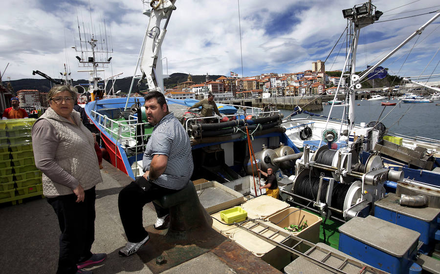 Buena captura de anchoa en Bermeo