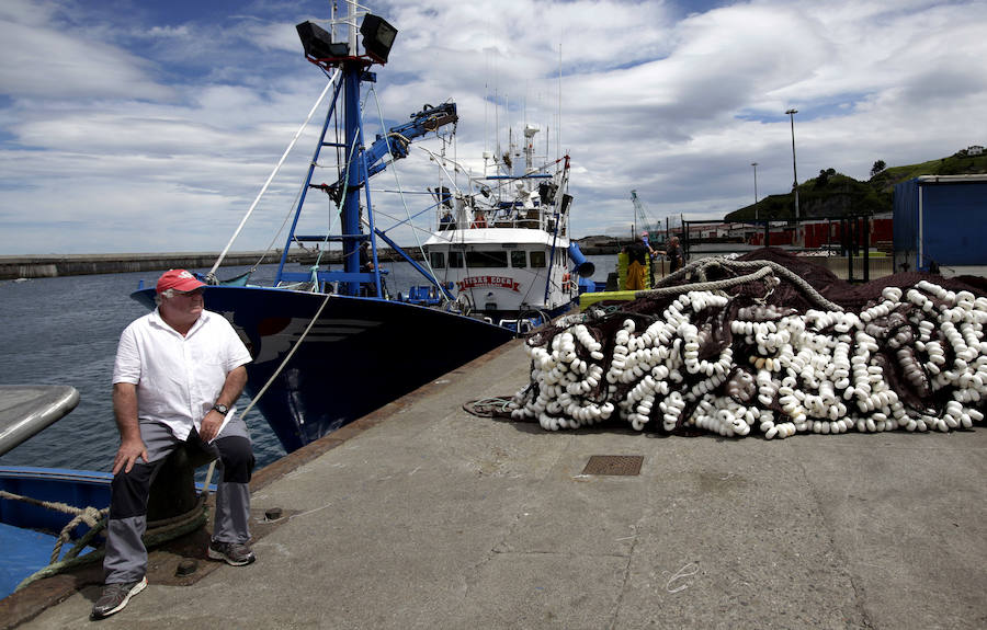 Buena captura de anchoa en Bermeo