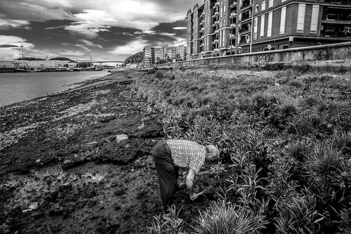 Cogiendo gusanos para pescar.