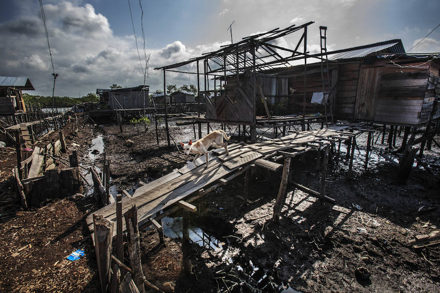 Colombia. Más de medio siglo de conflicto ha provocado el desplazamiento de millones de personas: despojadas de sus tierras y de su autoestima, viven en la pobreza y la exclusión social, y ni siquiera se han librado de la violencia.