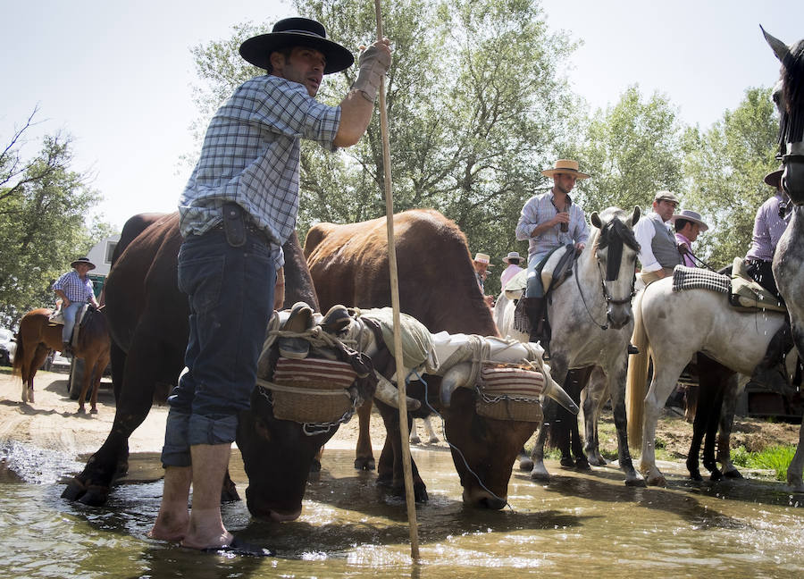 Los rocieros, a camino entre la devoción y la fiesta