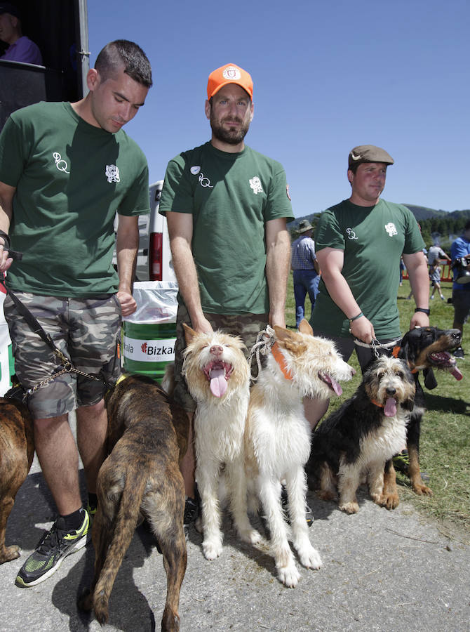 El Día del Cazador y el Pescador homenajea en Dima al perro de caza