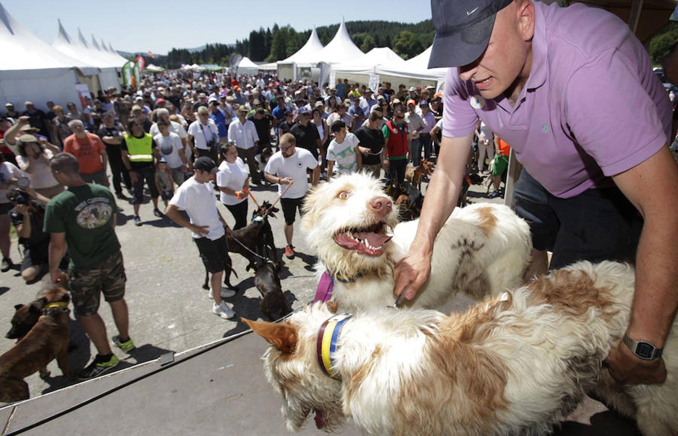 El Día del Cazador y el Pescador homenajea en Dima al perro de caza