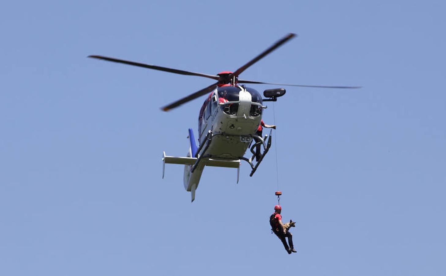 El Día del Cazador y el Pescador homenajea en Dima al perro de caza