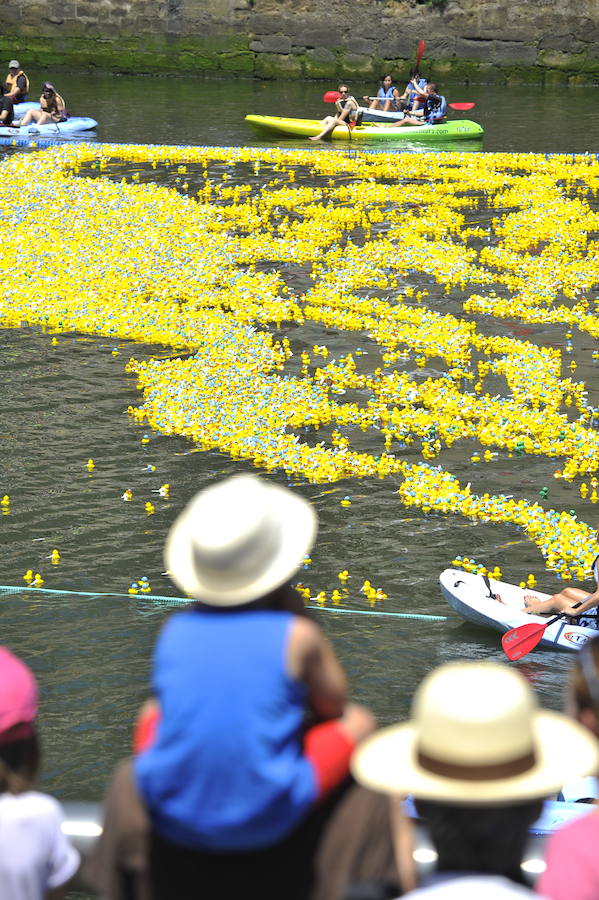 30.000 patos a la ría