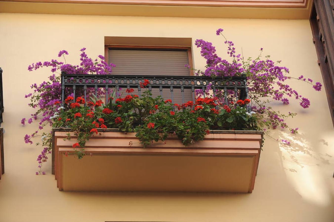 Los mejores balcones del III Concurso de Decoración de Balcones y Miradores del Casco Viejo de Bilbao