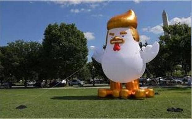 La 'Trump-gallina' de la Casa Blanca que arrasa en la red