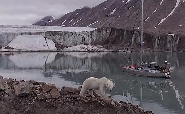 Un oso atacó el barco del equipo y destrozó la zodiac..