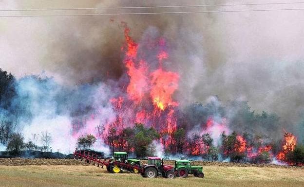Un total de 732 hectáreas forestales ardieron en el territorio alavés durante 2009, el peor año del decenio.