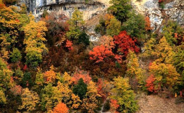 Otoño.