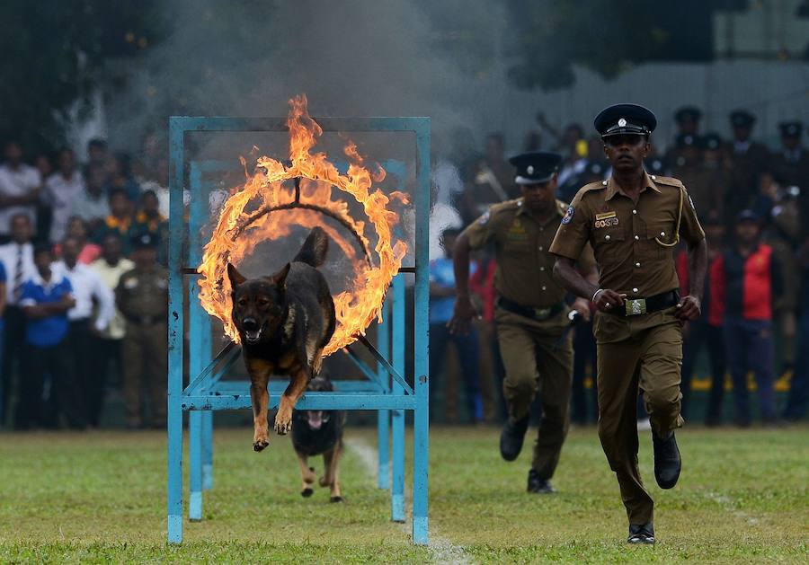 La Policía de Sri Lanka festeja el 151º aniversario del cuerpo
