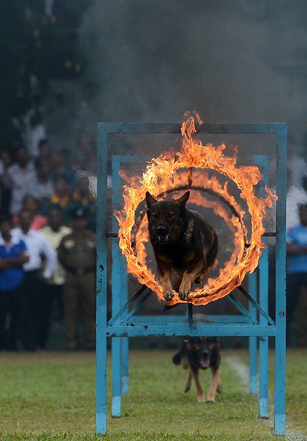 La Policía de Sri Lanka festeja el 151º aniversario del cuerpo