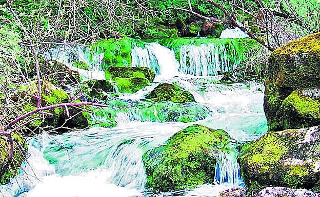 El arroyo brota impetuoso en el nacedero del Cadagua.