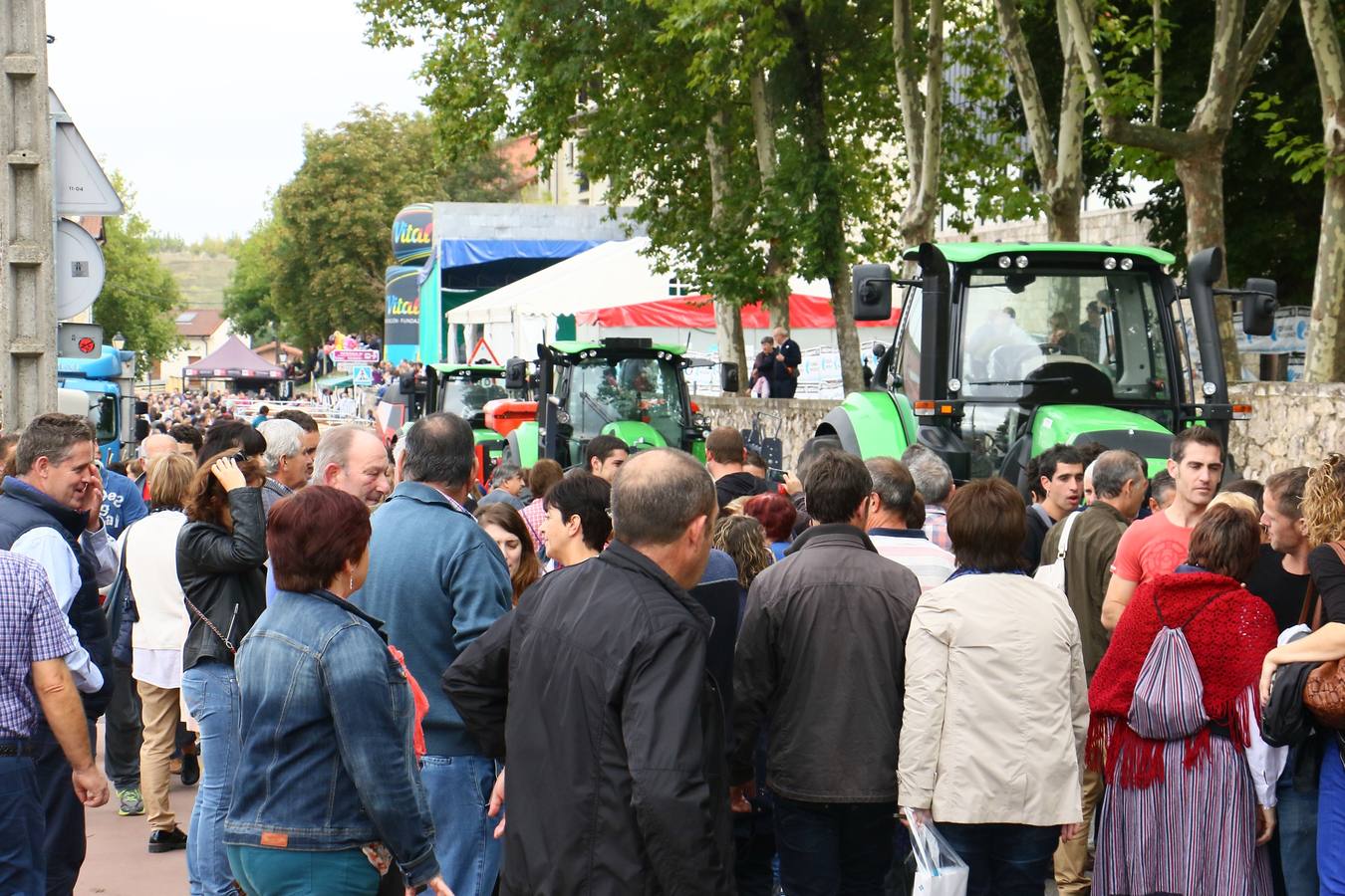 Feria de ganado de Salvatierra