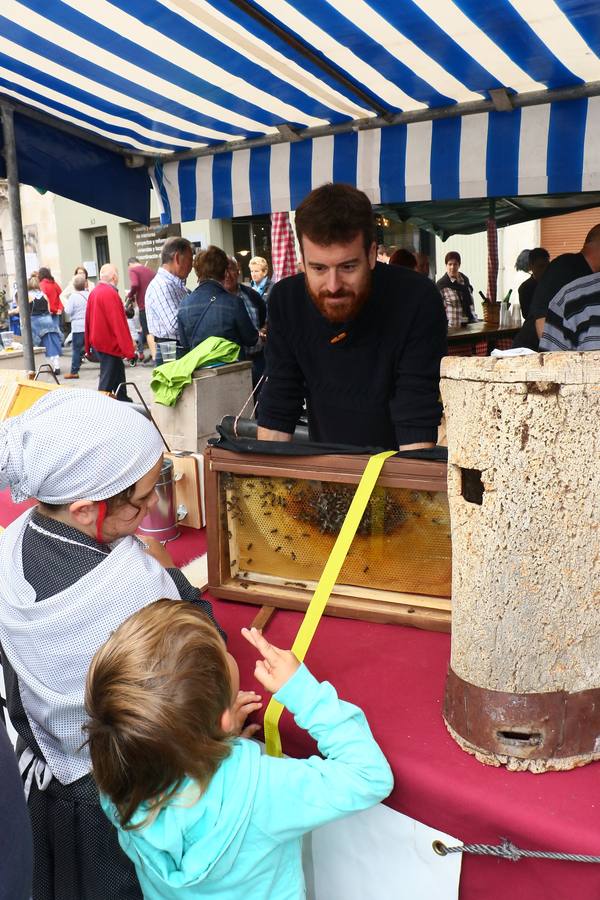 Feria de ganado de Salvatierra