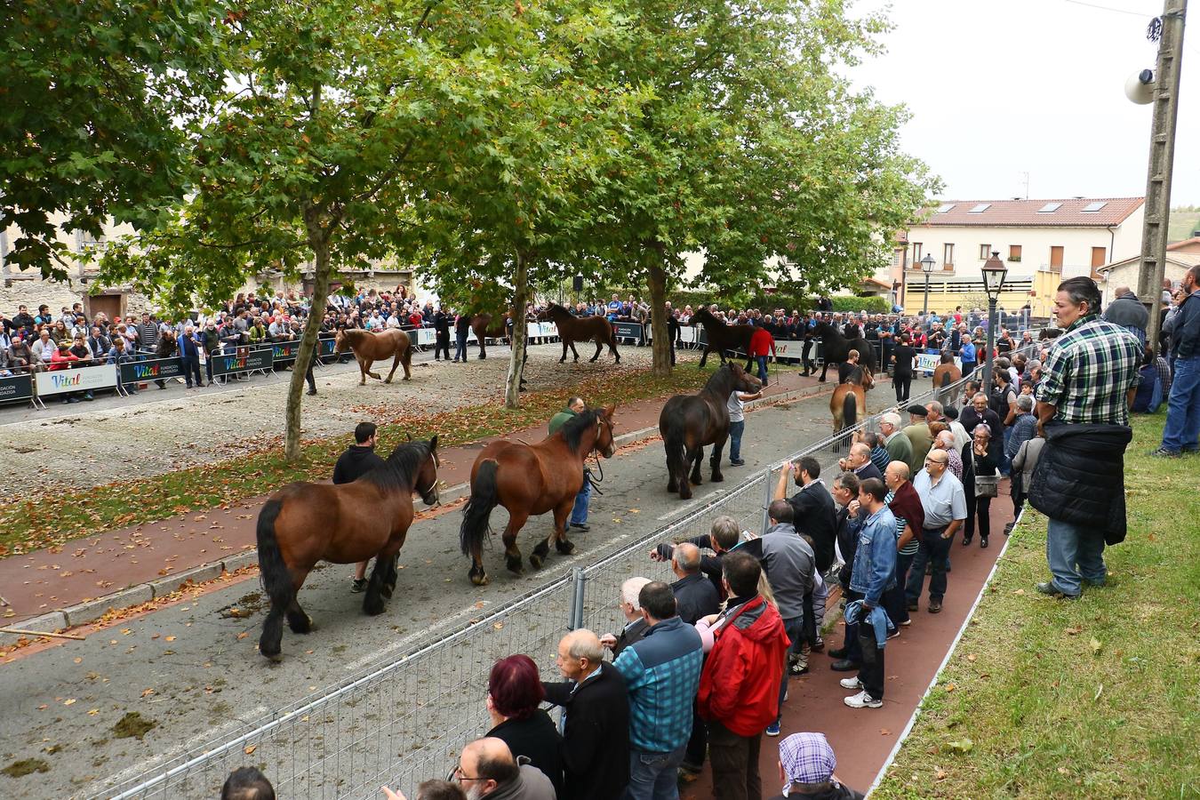 Feria de ganado de Salvatierra