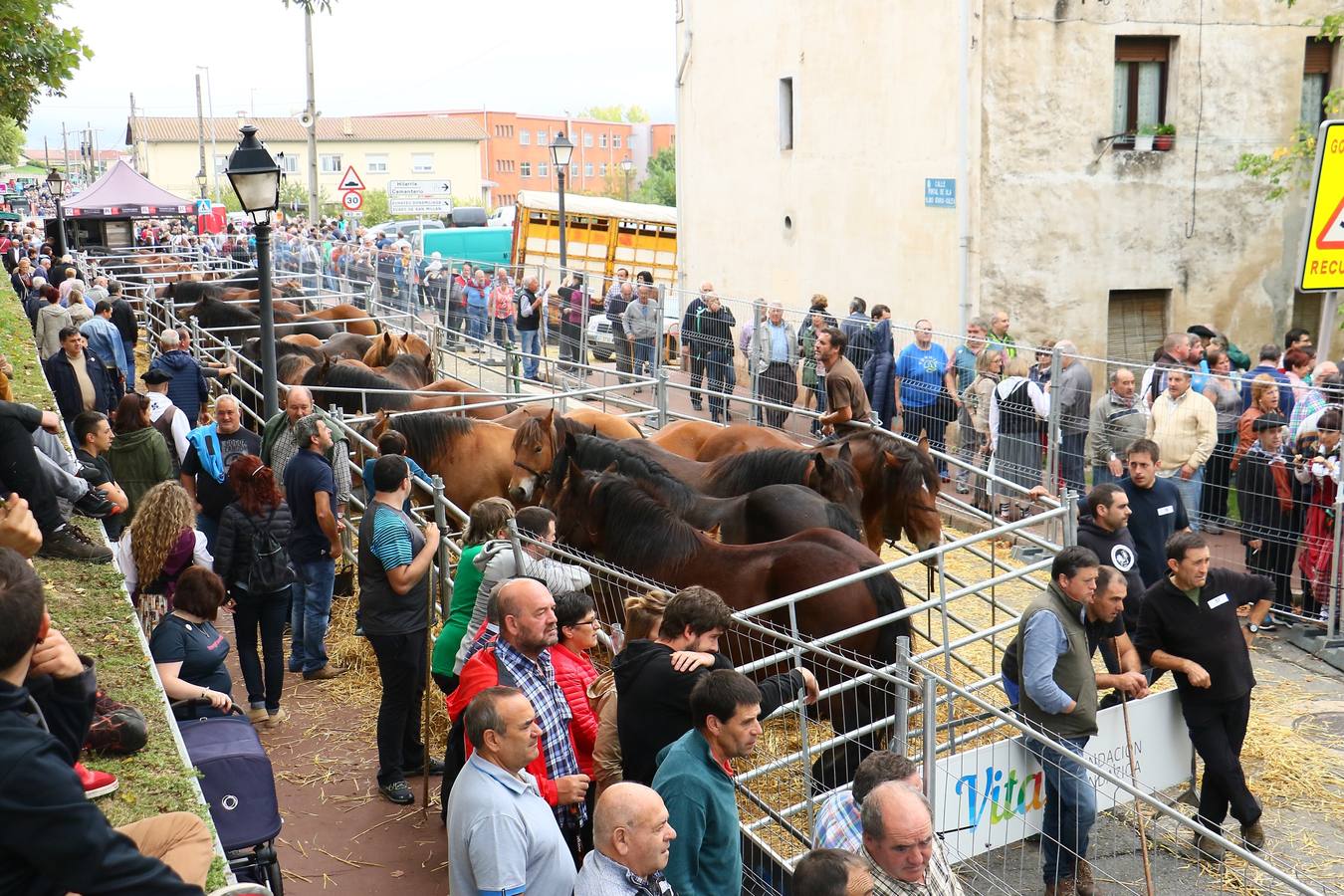 Feria de ganado de Salvatierra