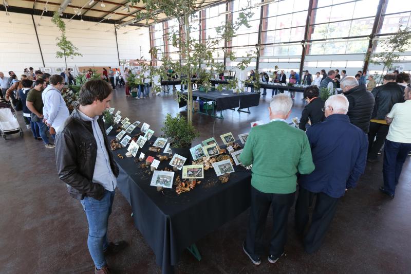 La Asociación Micológico Errotari organiza este fin de semana exposiciones, degustaciones y cursillos de clasificación en la localidad