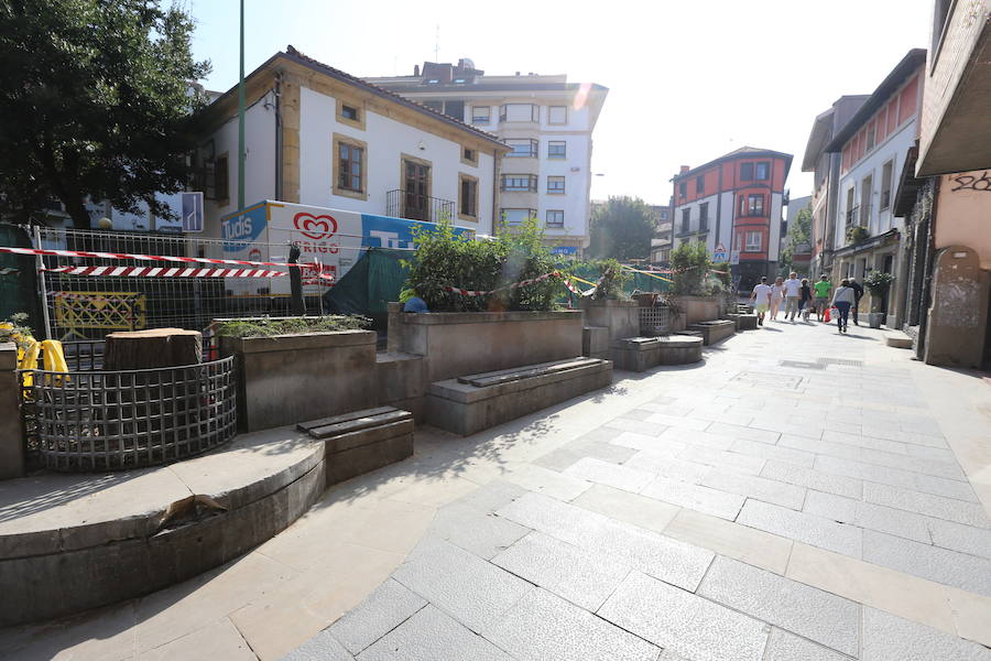 Los cipreses estaban en la Avenida Basagoiti, donde también han desaparecido los arcos de las jardineras. Estaban afectados por un hongo