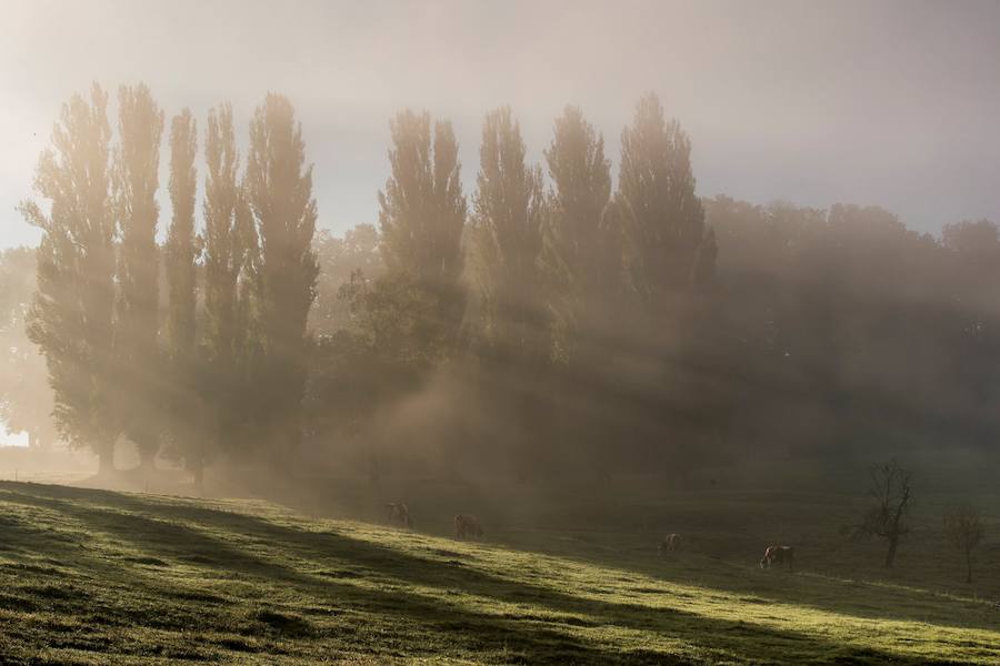 Los rayos de sol se abren paso entre la niebla en Buelach 