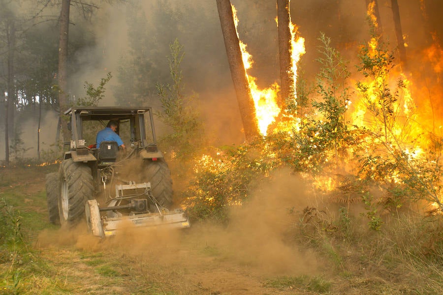 Las llamas avanzan sin control y amenazan casas en Pontevedra, Ourense y Lugo. Vecinos salen a la calle cargados de cubos para ayudar a los bomberos a sofocar las llamas