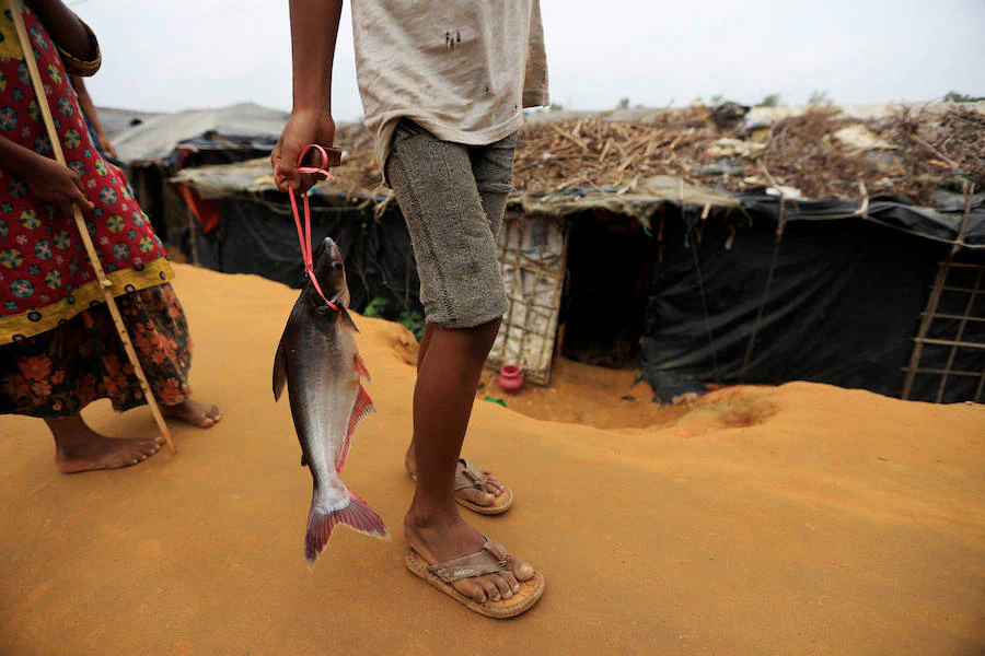 Casi medio millón de personas de esta etnia musulmana han huido de Birmania a Bangladesh. Escapan de la violencia y la represión a la que les someten las fuerzas del estado birmano, a raíz de un ataque perpetrado por un grupo insurgente el 25 de agosto. Tras cruzar la frontera, se alojan en campos de refugiados; más de 600.000 son niños