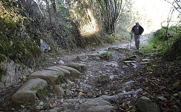 El trazado, que en su mayor parte se encuentra destrozado, transita por un bosque mixto de robles, pinos y avellanos. 