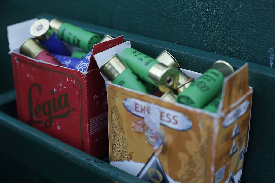 Los cartuchos, intactos.