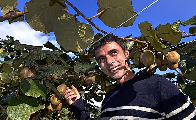 Gaizka Usatorre, desde las antípodas