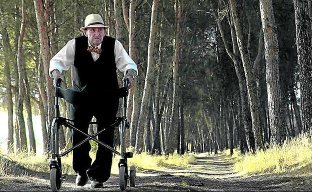 Luis Lafuente pasea por el pinar donde algún día descansará junto a su mujer,Joaquina. 