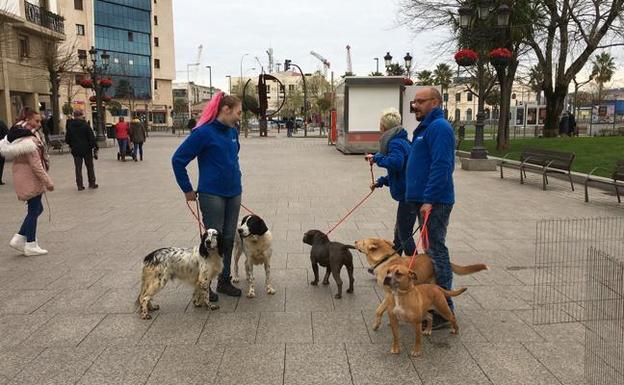 Los canes se pasearon ayer por las calles del municipio costero.