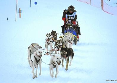 Imagen secundaria 1 - Un grupo de niños juega en Candanchú, un tiro de perros en Baqueira y telesillas que conducen a los deportistas a las pistas de Masella.