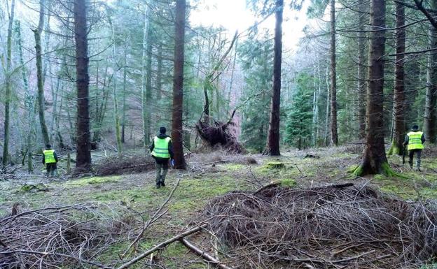 Galería. Efectivos que trabajaban hoy en el Gorbea en busca de Jon Bárcena. 