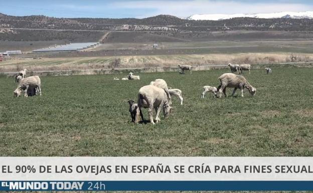 Una jueza bilbaína amenaza con acciones legales a 'El Mundo Today' por injuriar a los pastores