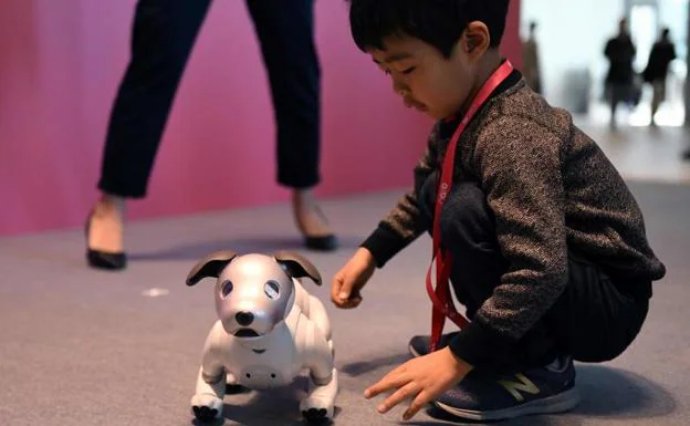 Un niño juega con el perro robótico de Sony,
