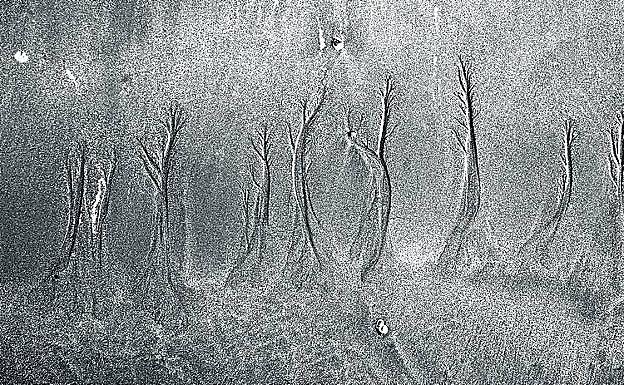 «Los paisajes más bellos son los minimalistas, me gusta conjugar sobriedad de medios y capacidad expresiva».