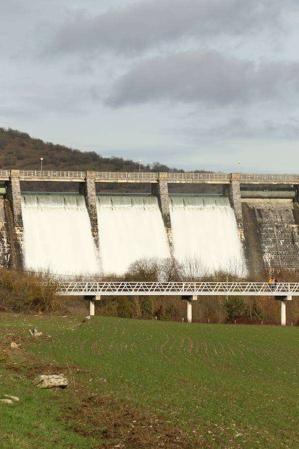Una de las fincas de cereal anegada completamente en la vega de Arroiabe, muy lejos del cauce normal del Zadorra.