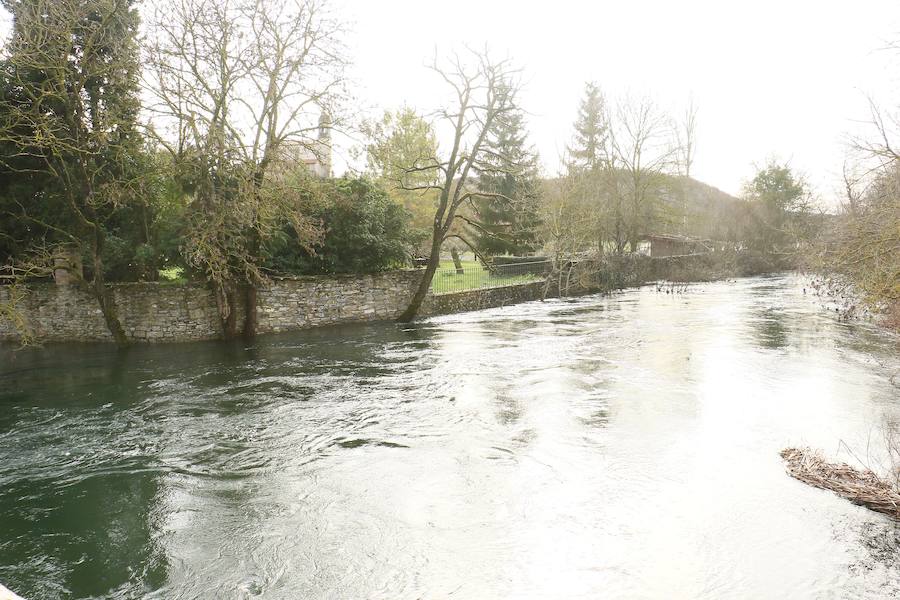 Una de las fincas de cereal anegada completamente en la vega de Arroiabe, muy lejos del cauce normal del Zadorra.