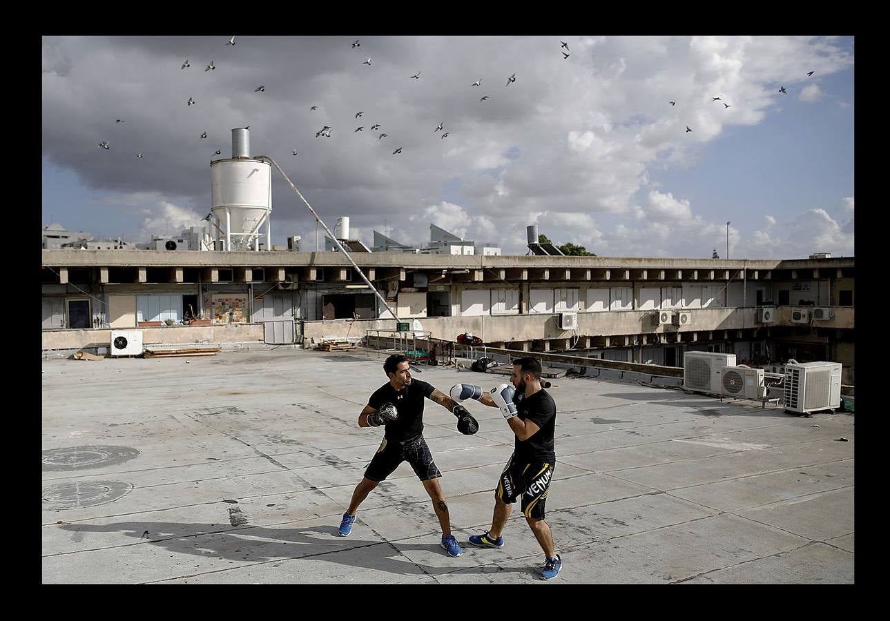 Tel Aviv, la acelerada capital económica de Israel, tiene buenas vistas. Con el espacio vital ajustado y escaso, los habitantes de la populosa metrópoli mediterránea sólo necesitan instalarse en sus propios tejados para gozar. Las azoteas de buena parte de los edificios de la ciudad se han transformado en hermosos jardines al aire libre, restaurantes, centros de instrucción e incluso estudios de arte y yoga.