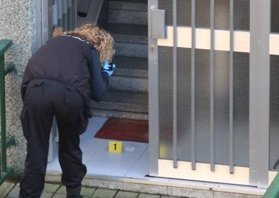 Imagen secundaria 1 - El matrimonio octogenario de Otxarkoaga murió a golpes y cuchilladas