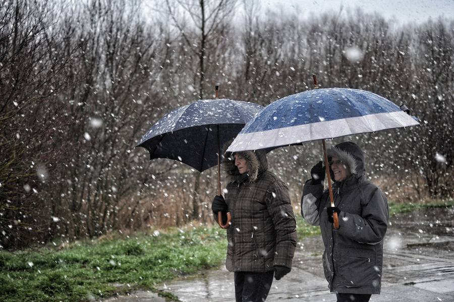 La nieve cubre de blanco el territorio alavés