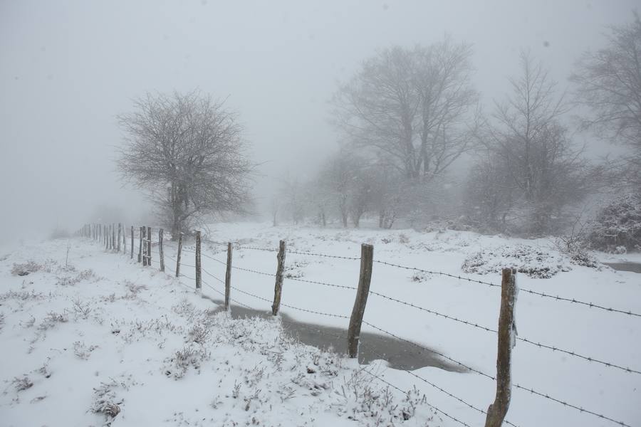 La nieve cubre de blanco el territorio alavés