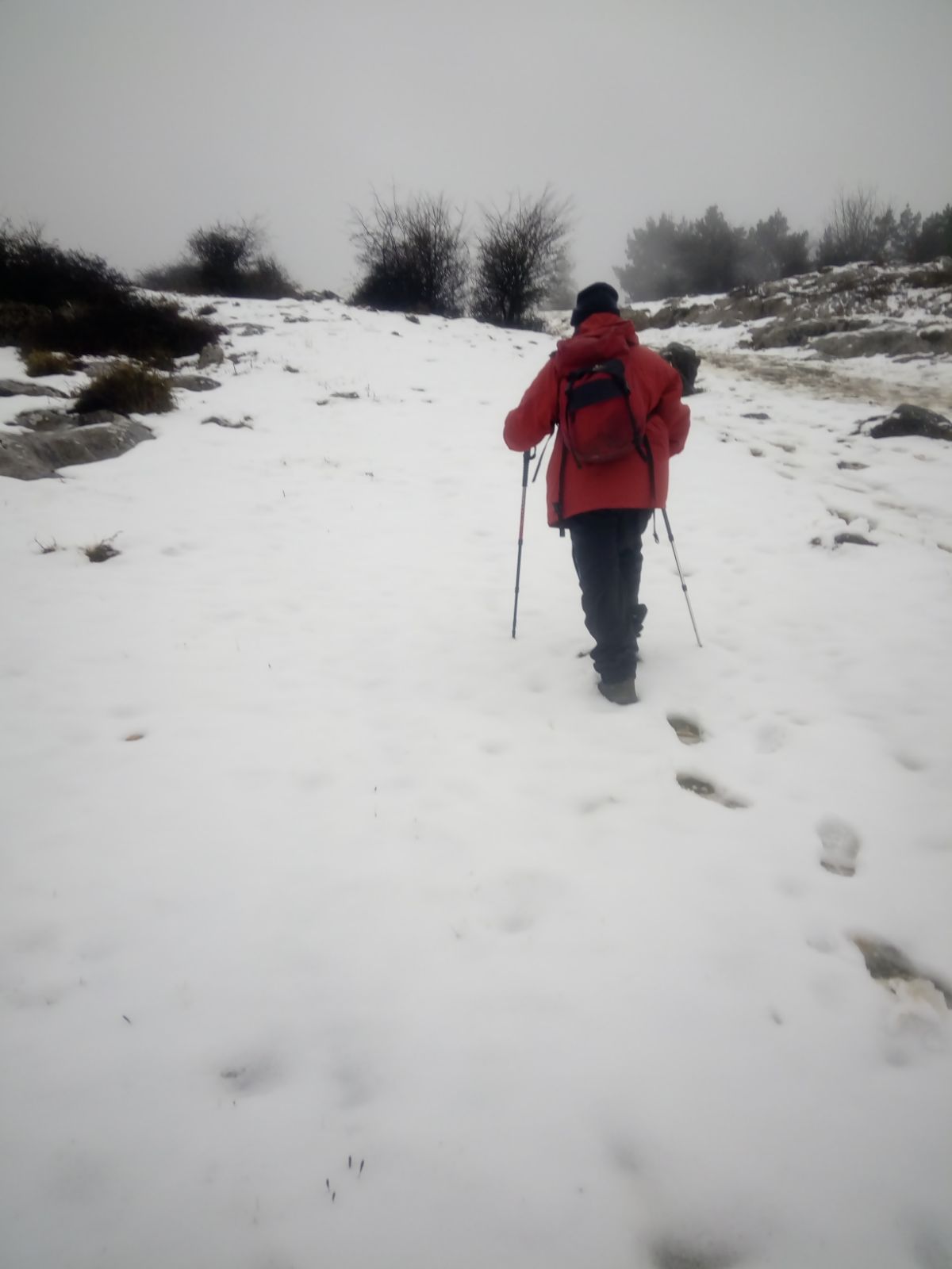 El Pagasarri cubierto de nieve. 