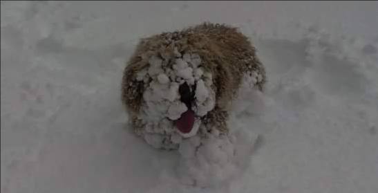 Mándanos al 669 200 500 tus fotografías de la nieva